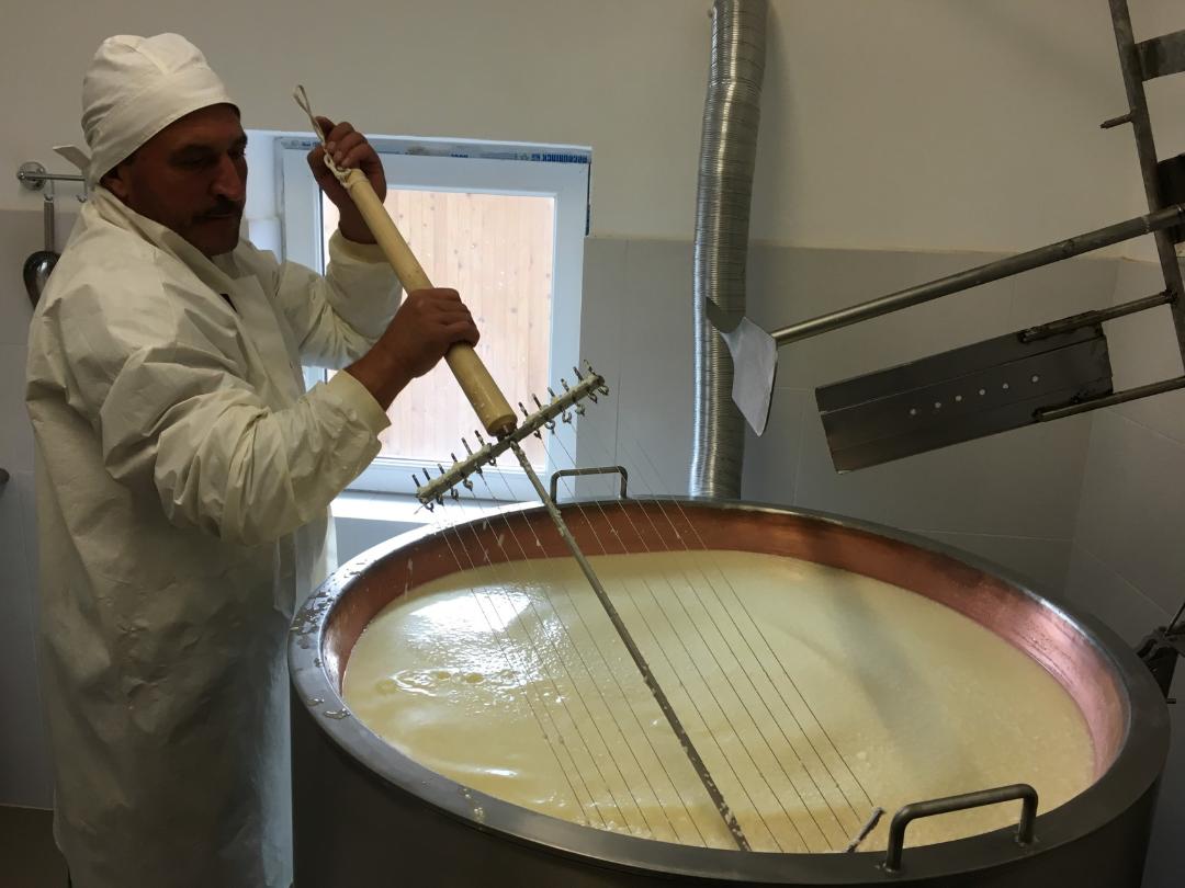 Meșendorf brânză artizanală maturată, Producători Locali Autentici 